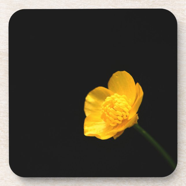Posavasos Coasterca de flor de mariposa (Frente)