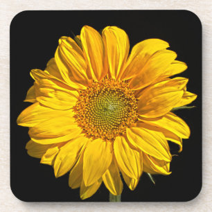 Posavasos Coasterca de girasol