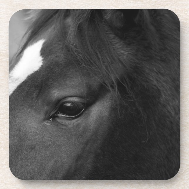 Posavasos Coasterca equina (Frente)