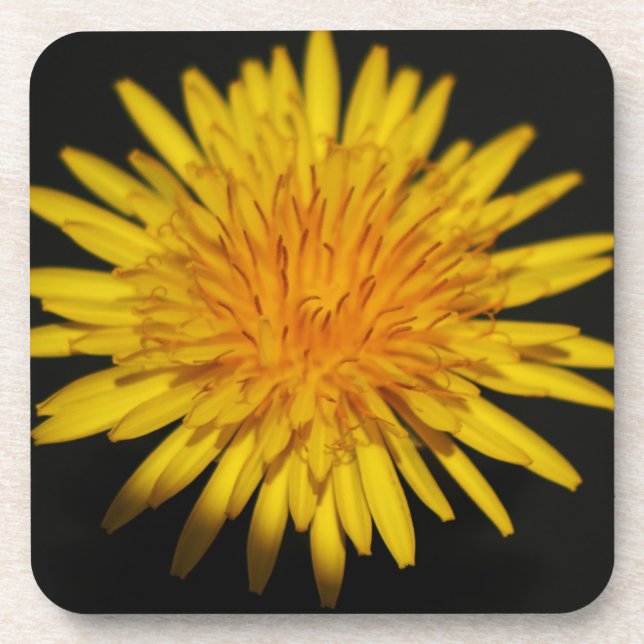 Posavasos Coastercino de las flores de Dandelion (Frente)