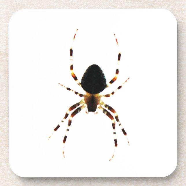Posavasos Coastercn de araña (Frente)