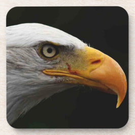 Posavasos Coastercna del águila calva