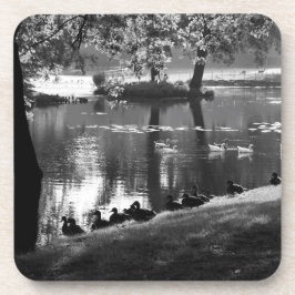 Posavasos Coastercnm de Park Life