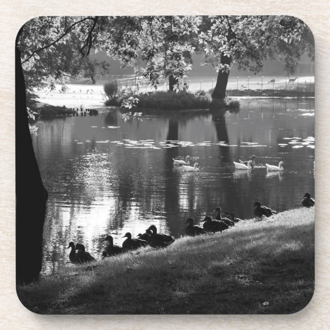 Posavasos Coastercnm de Park Life (Frente)