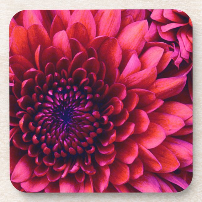 POSAVASOS COASTEROS DE CORK DE MAMÁ (Frente)