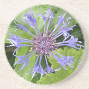 Posavasos Coasters de Cornflower
