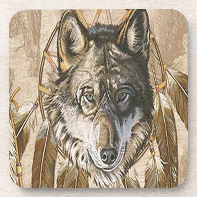 Posavasos Coasters de Estados Unidos nativos (Frente)