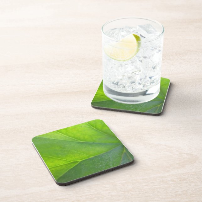 Posavasos Coasters de Leaf (Lado Derecho)