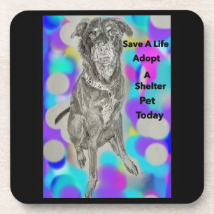 Posavasos Coasters de plástico duro