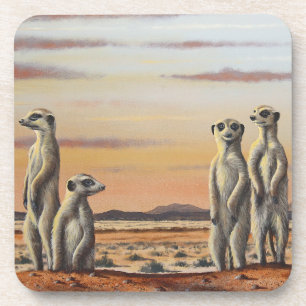 Posavasos Coasters de plástico duro