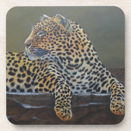 Posavasos Coasters de plástico duro