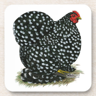 Posavasos Cochin abigarró la gallina