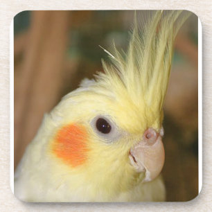 Posavasos Cockatiel amarillo