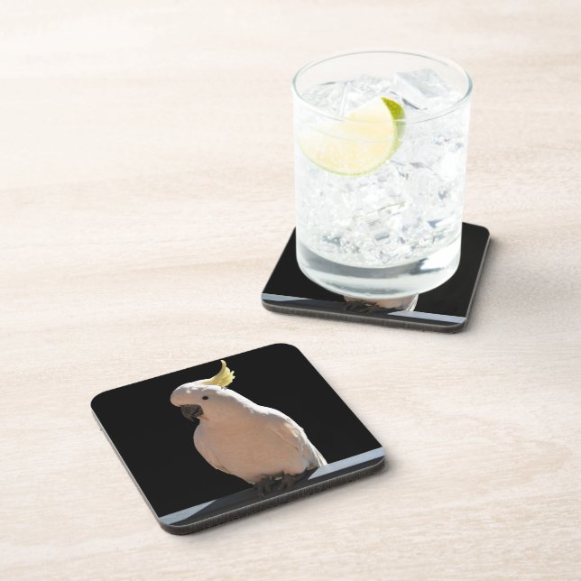 Posavasos Cockatoo en Sundial Apartments Coasters (Lado Derecho)