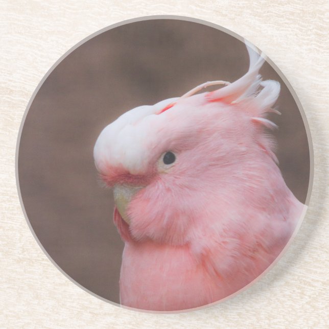 Posavasos Cockatoo rosa (Frente)
