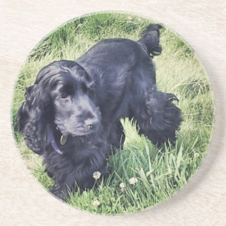 Posavasos Cocker spaniel