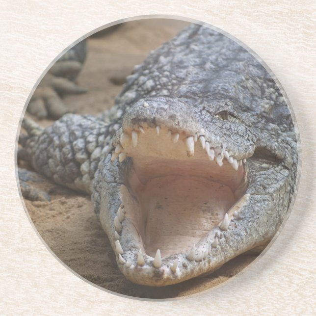 Posavasos Cocodrilo (Frente)