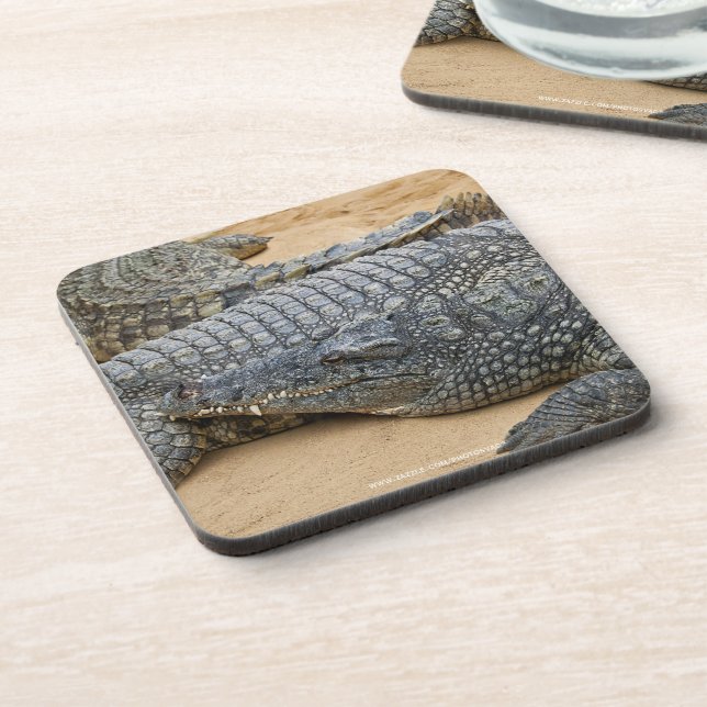 Posavasos Cocodrilos (Lado Izquierdo)