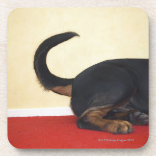 Posavasos Cola que menea de Rottweiler, sección trasera