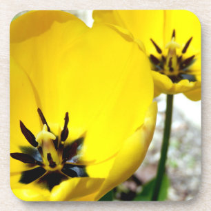 Posavasos Colas de plástico duro de tulipano amarillo