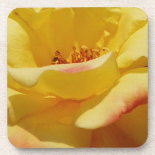 Posavasos Colas de rosas amarillas