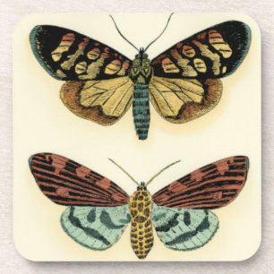 Posavasos Colección de mariposas por Chariklia Zarris