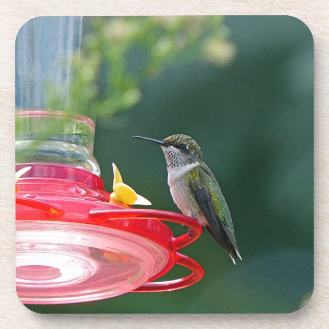 Posavasos Colibrí (Frente)
