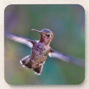 Posavasos Colibrí