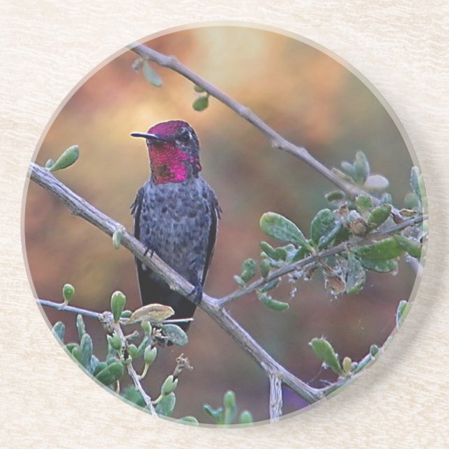 Posavasos Colibrí al atardecer (Frente)