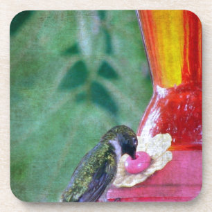 Posavasos Colibrí en Feeder