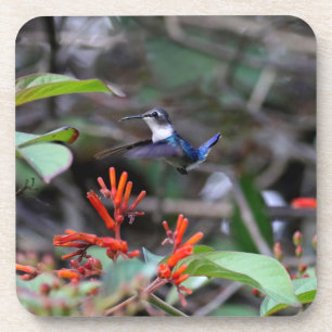 Posavasos Colibrí en vuelo y flores rojas