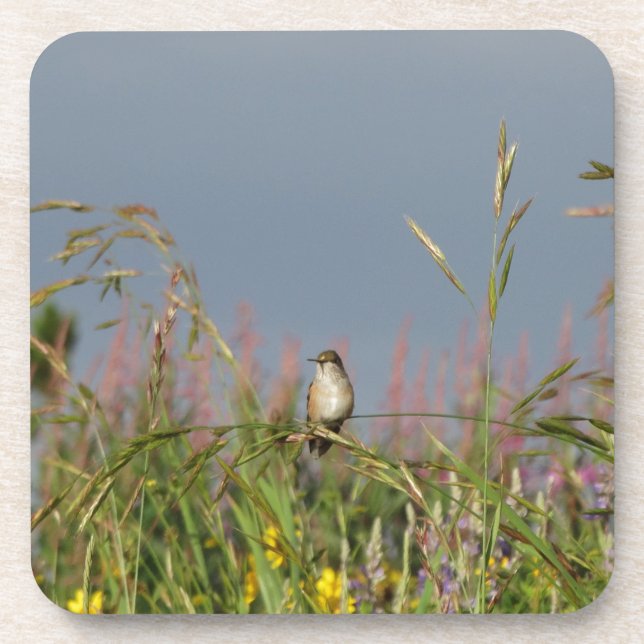 Posavasos Colibrí gorda (Frente)