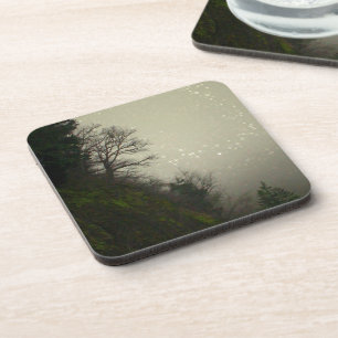 Posavasos Colina mágica del bosque húmedo