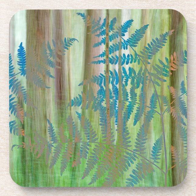 Posavasos Collage de Bracken Fern y Bosque| Marcas, WA (Frente)