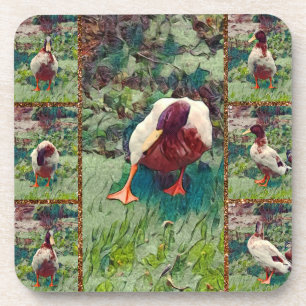 Posavasos Collage de fotos de pato de anclaje, conjunto de e