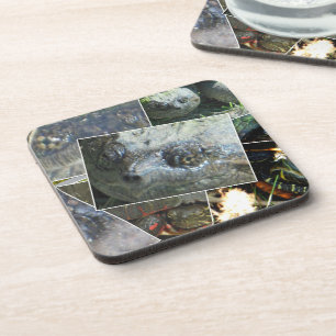 Posavasos Collage de tortuga