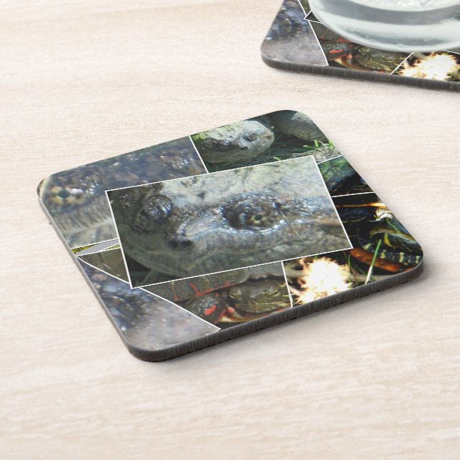 Posavasos Collage de tortuga (Lado Izquierdo)