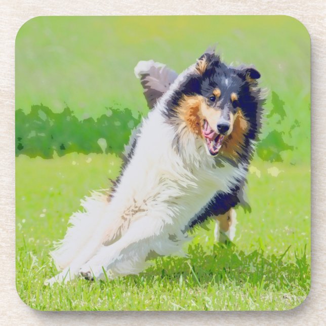Posavasos Collie (Frente)