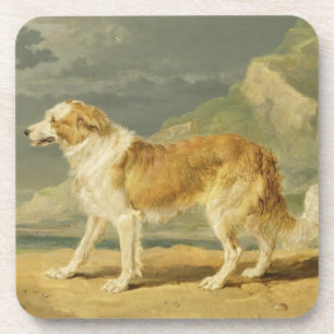 Posavasos collie Áspero-revestido, 1809 (aceite a bordo)