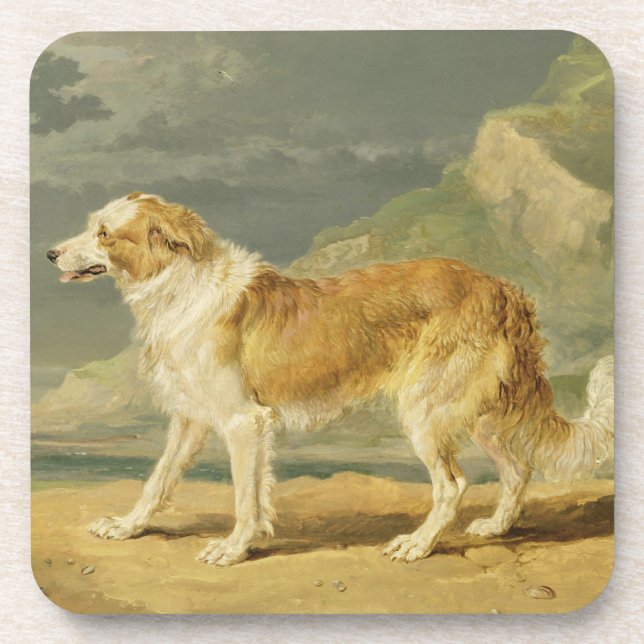Posavasos collie Áspero-revestido, 1809 (aceite a bordo) (Frente)
