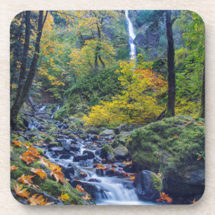 Posavasos Color de otoño a lo largo de Starvation Creek Fall