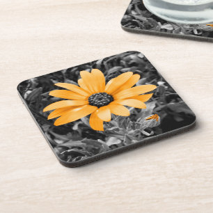 Posavasos Color Splash Spring Flash African Daisy Photograph