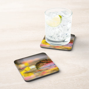 Posavasos Colores de caída