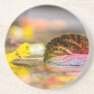 Posavasos Colores de caída