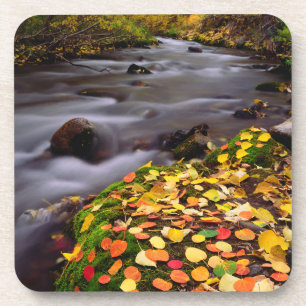 Posavasos Colores de otoño a lo largo de McGee Creek