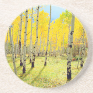 Posavasos Colores de otoño de árboles de Aspen 4