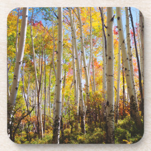 Posavasos Colores de otoño de árboles de Aspen 5