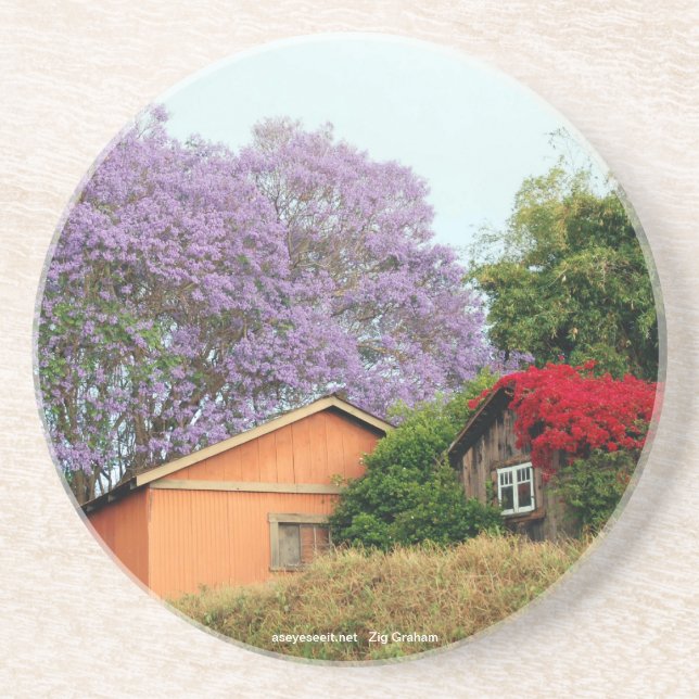 Posavasos Colores de prácticos de costa rurales (Frente)