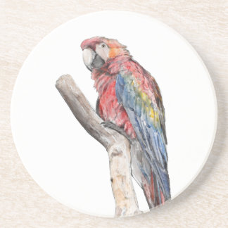 Posavasos Colorida acuarela de loro de macao