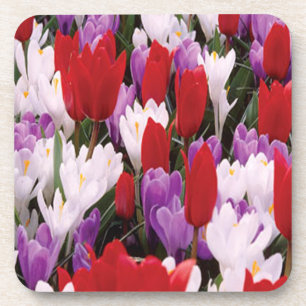 Posavasos Coloridas Flores De Tulipanes